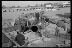 3198_Fishermen possibly mending their nets , Key West, Florida