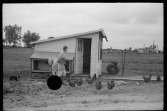 3220_ New hen house, Decatur  Homesteads