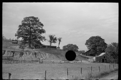 3223_Eroded farmland, Indiana