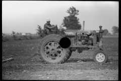 3293_Farmall row crop Tractor in use , Wabash Farms, Indiana