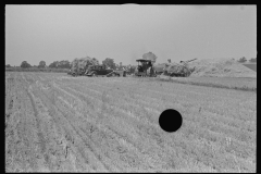 3330_ Possible end of threshing .  Field of wheat stubble , central Ohio