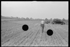 3347 Threshing crew, central Ohio