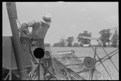 3349_ Threshing , central Ohio