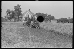 3351_Combing wheat , central Ohio