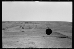 3385_ Grazing land, Dawson County, Nebraska