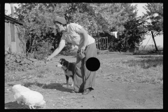 3464_Woman  who operates large farm with help of her sister and a rehabilitation loan. Coffey County, Kansas