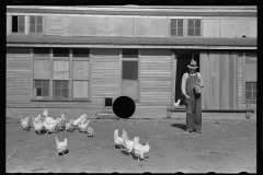 3466_Rehabilitation client feeding chickens. Ottawa County, Kansas