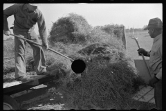 3470_ Jack Gardinier the tenant farmer. Ottawa County, Kansas