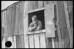 3593_Coal miner at his  window Bertha Hill, Scotts Run, West Virginia