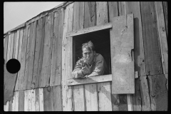 3595_Coal miner looks out of window in his home, Bertha Hill, Scotts Run, West Virginia