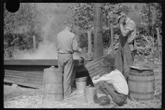 3631_Making molasses . Racine, West Virginia.