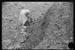 3651_Black-American woman picking up coal , Cassville