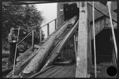 3663_Guiding logs  into Saw Mill,  Erwin, West Virginia