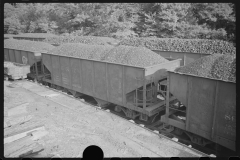 3757_  Coal wagons , mining camp , Scott's run , West Virginia