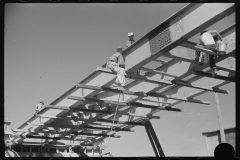 3897_Construction of new bridge, Tygart Valley Homesteads, 