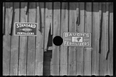 3940_Advertising signs on broken fence , Enfield , North Carolina