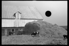 4099_Old barn near Sharpsburg