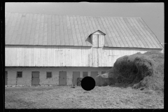 4100_Old barn near Sharpsburg