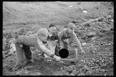 4121_Miner's sons salvaging coal during  strike