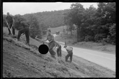 4138_Civilian Conservation Corps  working at Tygart Valley Homesteads