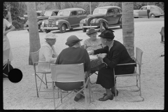 4173_Outdoor refreshments for tourists near Tampa,