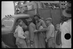 4192_Migrant Vegetable pickers, Homestead, Florida