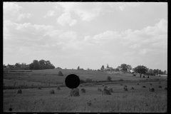1874_Pride of harvest, hay stooks  farmer with son 