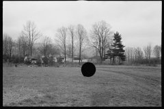 2378_The Jewish poultry cooperative at Liberty, New York