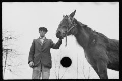 2436_Neglected horse with and owned by rehabilitation client