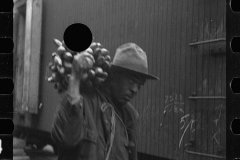 2766_Unloading Bananas. on the dock, Mobile, Alabama