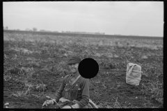 3011_Potato worker, near East Grand Forks, Minnesota
