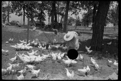 3227_Wife of homesteader in garden, Scioto Farms, Ohio