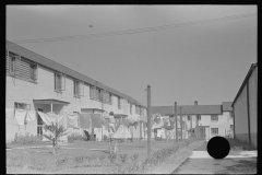 3785_Washing day , Greenbelt 