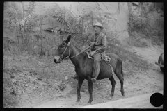3823_Old miner on a mule,   Mohegan