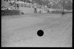 3919_ Grandstand , trotting races ,  county fair in central Ohio