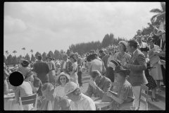 4162_Horse racing , Hialeah Park, Miami