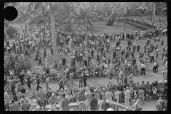 4179_Horse racing at Hialeah Park, Miami, Florida