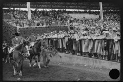 4181_Horse racing at Hialeah Park, Miami, Florida