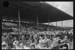 4182_Horse racing at Hialeah Park, Miami