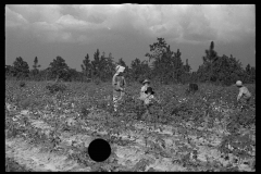 0027__Cotton sharecropper and Children