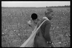 0260_Young  African -American cotton picker, Pulaski County, Arkansas