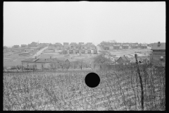 0265_African -American houses,  Winston-Salem, North Carolina