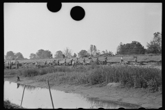 0273_Levee workers, Plaquemines Parish, Louisiana