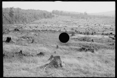 0402_Characteristic topography, Garrett County, Maryland