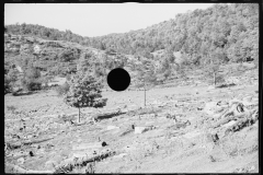 0406_Logging , Garrett County, Maryland