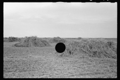 0518_Corn harvest , Kansas