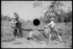 0569_Two young lads with a cross-cut saw , unknown location