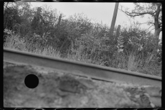 0729_Probably spoiled negative ,  due to film loading , random view of railroad  track