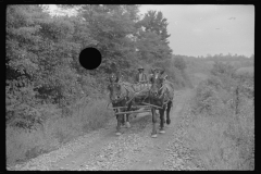 0742_Black-Americans driving  a  horse drawn wagon , unknown location