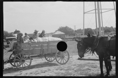 0821_Waggon load of cotton probably Moundville, Alabama
